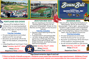 Spring Baseball Stadium Tour 2026