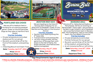 Spring Baseball Stadium Tour 2026