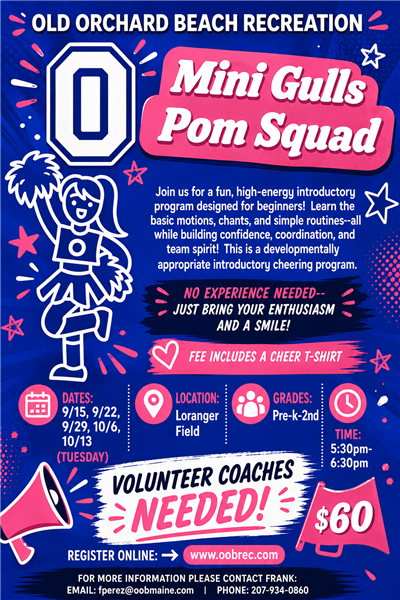 Mini Gulls Pom Squad Flyer